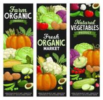 organisk bruka mat, grönsaker och grönsaker vektor