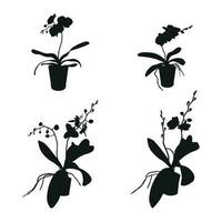 Vektor einstellen von realistisch Blumen Orchideen, Phalaenopsis. Realismus modern Silhouetten Pflanzen Topf. eben Design Vorlage.