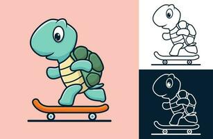 komisch Schildkröte Skateboard fahren. Vektor Karikatur Illustration im eben Symbol Stil