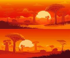 afrikanisch Savanne Natur Landschaft beim Sonnenuntergang vektor