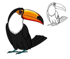 exotisk tropisk toucan fågel, tecknad serie djur- vektor