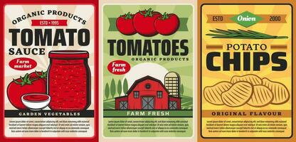 Tomate Soße Ketchup, Kartoffel Chips, Bauernhof Essen vektor