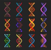dna helix vektor ikoner av genetik medicin