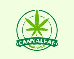Hanf Blatt Logo Design zum medizinisch Cannabis Klinik vektor