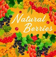 Beeren und Früchte, Bauernhof und Garten Essen vektor