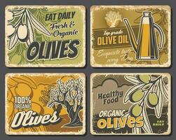 oliver och extra jungfrulig oliv olja vektor