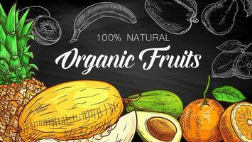 tropisch Früchte skizzieren auf Tafel, organisch Essen vektor