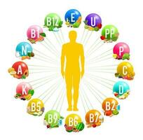 cirkel infographics med mänsklig kropp och vitaminer vektor