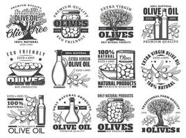 oliv träd Produkter, extra jungfrulig oliv olja vektor