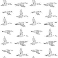 Vektor nahtlos Muster von Hand gezeichnet fliegend Ente
