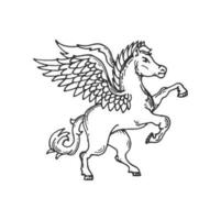 pegasus medeltida heraldisk häst djur- skiss vektor