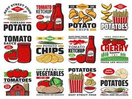 Tomate und Kartoffel Essen Produkte, Ketchup und Chips vektor