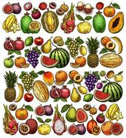 bruka och trädgård frukt skiss mat bakgrund vektor