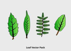 Grün Blatt Natur Laub Sammlung vektor