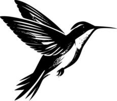 kolibri - svart och vit isolerat ikon - vektor illustration