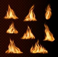realistisch Verbrennung Feuer Flammen von Lagerfeuer vektor