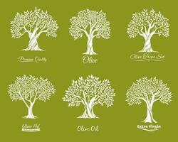 Olive Bäume Bauernhof Vektor Symbole einstellen