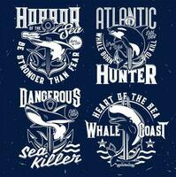 haj, val fisk, nautisk marin t-shirt grafik vektor