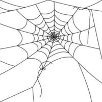 Spindel webb bakgrundsbilder. spindelnät bakgrund. illustration av en webb. vektor Spindel webb på vit. Spindel webb element för dekor. spindelnät.