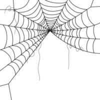 Spindel webb bakgrundsbilder. spindelnät bakgrund. illustration av en webb. vektor Spindel webb på vit. Spindel webb element för dekor. spindelnät.