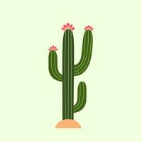 Kaktus Vektor Illustration. Vektor Kaktus mit Blumen. Kaktus eben Stil.