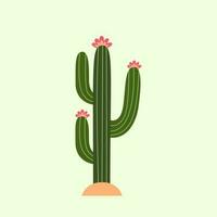 kaktus vektor illustration. vektor kaktus med blommor. kaktus platt stil.