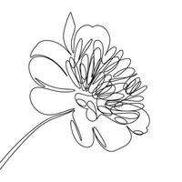 ett linje kontinuerlig blomma. pion linje konst översikt vektor illustration vår blomma isolerat hand ritade.