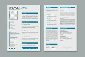 professionell modern och rena dubbel- sidor återuppta mall, CV layout design med attrapp vektor