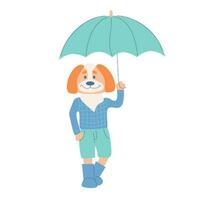 süß positiv Hund im Stoff Stehen mit Regenschirm. komisch Eckzahn im Gummis. anthropomorph Tier Charakter. regnerisch Wetter Monsun Karte Design. Vektor Illustration.