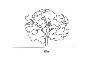 Single einer Linie Zeichnung Ulme. Baum Konzept. kontinuierlich Linie zeichnen Design Grafik Vektor Illustration.