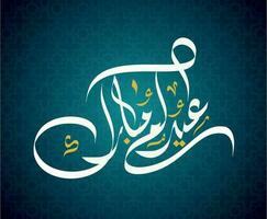 eid Mubarak ,eid al adha und eid al fitr glücklich Urlaub geschrieben im Arabisch Kalligraphie auf dunkel Blau Hintergrund mit blinkend Sterne und Mond. eid Sozial Medien animiert Post Video. vektor