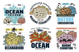 exotisk fiskar oceanarium, marin värld utställning vektor