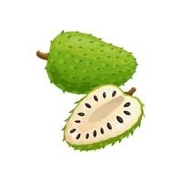 sur äpple soursop exotisk tropisk frukt isolerat vektor