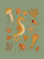 Jahrgang Meer Leben Vektor Illustration. unter Wasser Tiere Poster. Seepferdchen, Qualle, Seestern, Schuhe, Koralle, Algen drucken