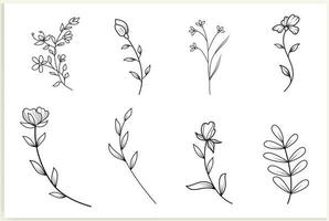 uppsättning av vektor årgång blommig element.handritade söt linje konst. element blommor, grenar, swash, och krusidullar