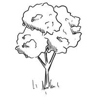 Vektor isoliert Illustration von ein skizzieren Baum mit Laub.