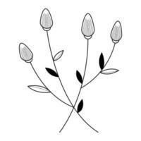 Hand gezeichnet botanisch Blumen im Gliederung Stil, dekorativ Blumen- Element vektor