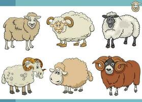 Karikatur Schaf Bauernhof Tiere Comic Zeichen einstellen vektor