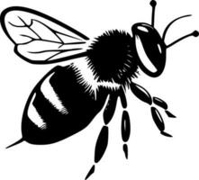 Honigbiene - - schwarz und Weiß isoliert Symbol - - Vektor Illustration