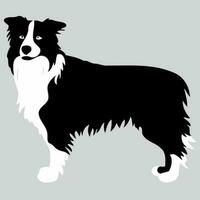 hund av de ras gräns collie silhuett i svart och vit vektor