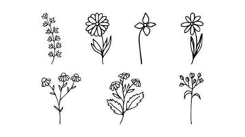 Hand gezeichnet Kräuter, Blumen- Clip Art Sammlung. einer Linie Gekritzel Vektor einstellen