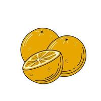 Orangen Früchte skizzieren. Vektor Hand gezeichnet Illustration.