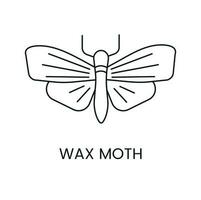 Wachs Motte linear Symbol im Vektor, Illustration von Bienenwabe Pest vektor