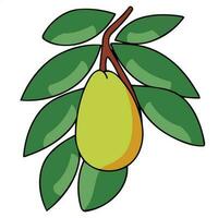 Mango Obst mit Blätter vektor