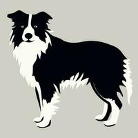 Hund von das Rasse Rand Collie Silhouette im schwarz und Weiß vektor