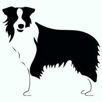 hund av de ras gräns collie silhuett i svart och vit vektor