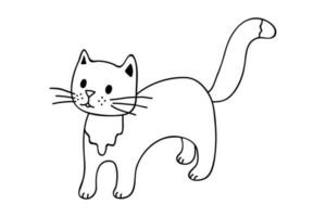 hand dragen katt ClipArt. söt sällskapsdjur klotter vektor