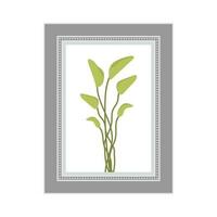 grau Foto Rahmen mit das Bild von ein nicht blühend Pflanze. isoliert. eben Stil. vektor