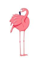 rosa flamingo vektor illustration isolerat på vit bakgrund.