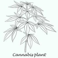 enkelhet cannabisväxt frihandsritning platt design. vektor